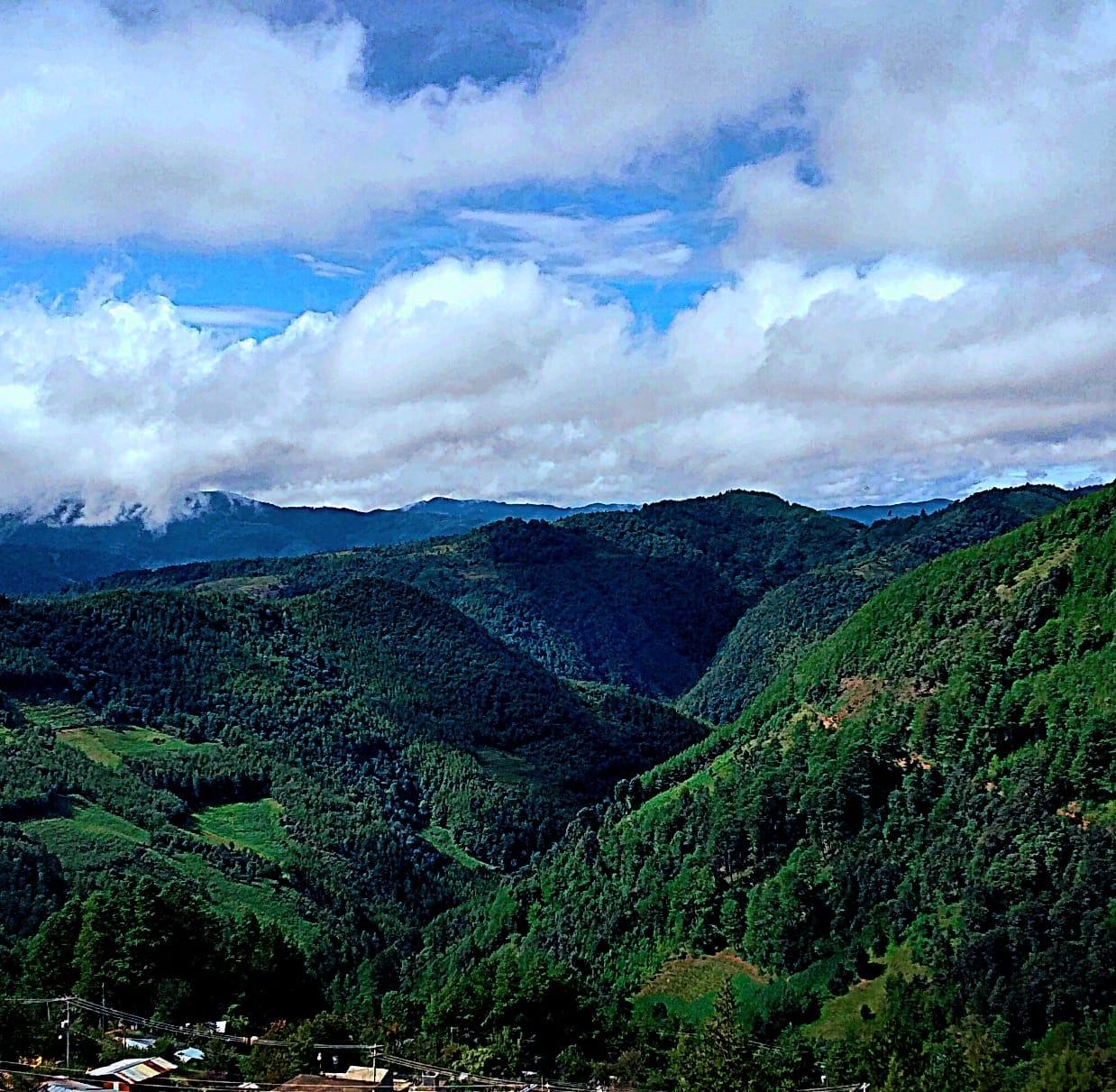 Senderos de Niebla